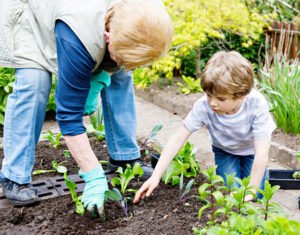 Parent and child gardening